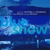 CD Wiener, Ruud: Blue Snow