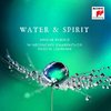 CD Rubino, Simone: Water & Spirit